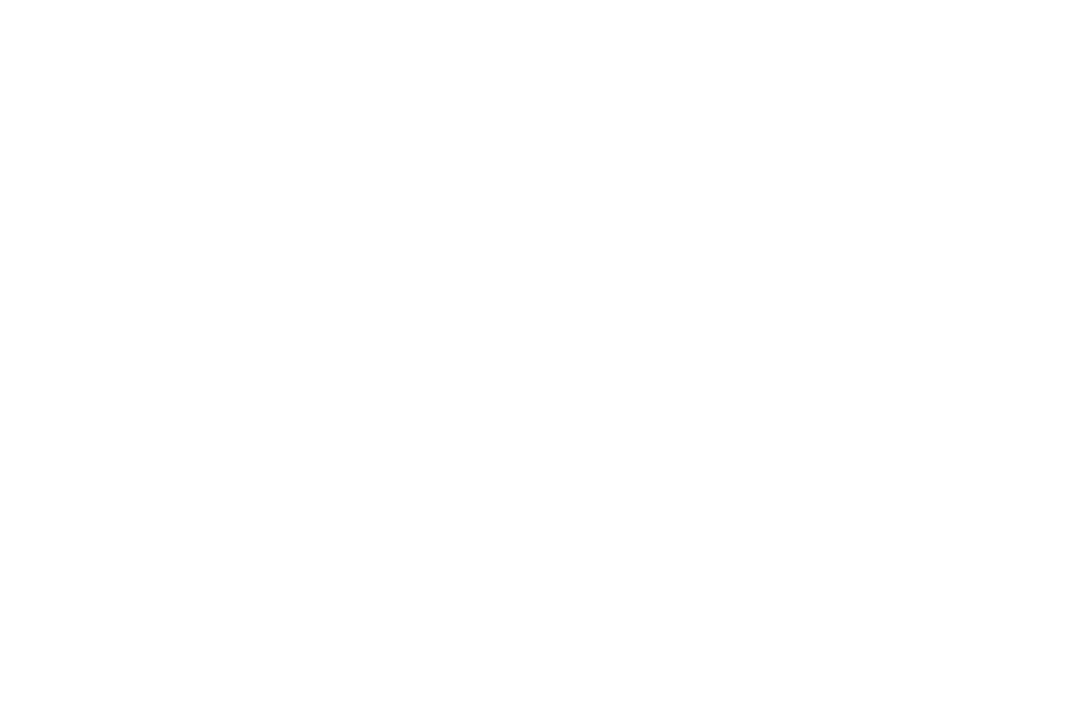 Logo-lf pro