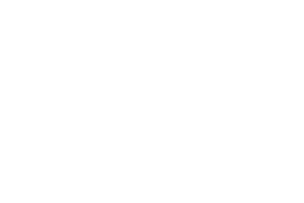 logo-_guinter