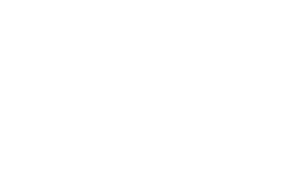 logo-_lashs co