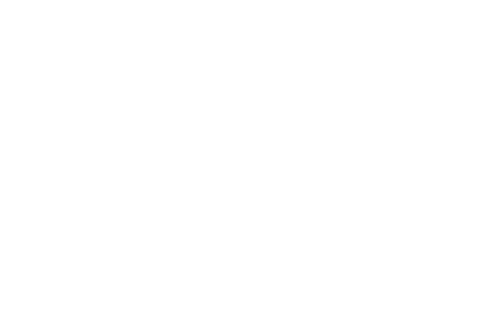 logo-_ledary
