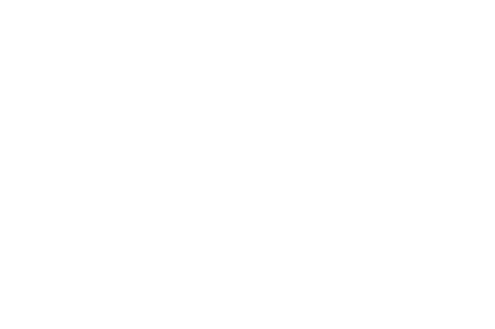 logo-_unilashes