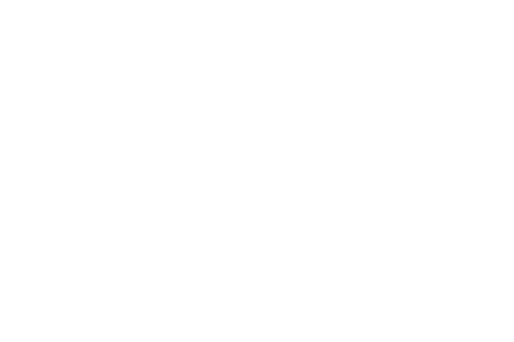 logo-_brae