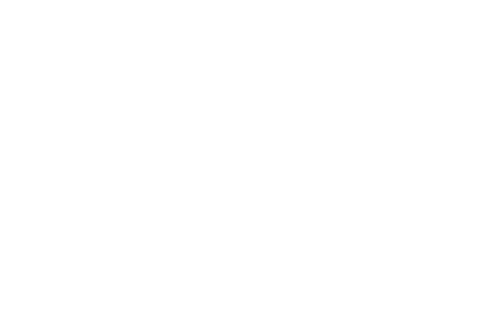 logo-_dailus