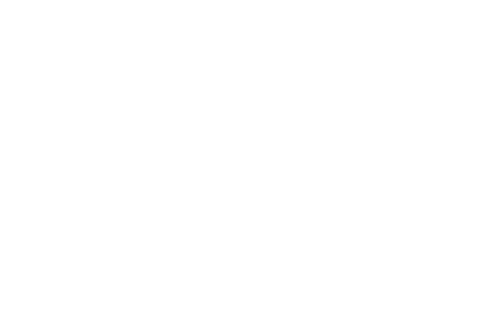 logo-_elchin