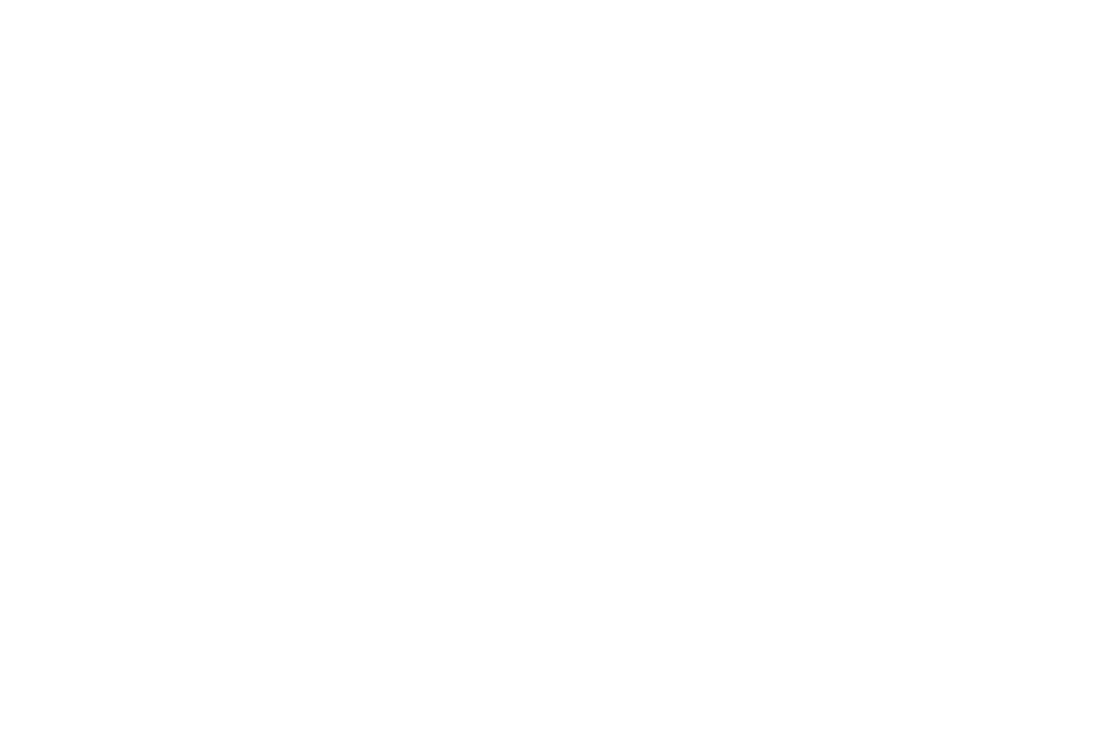 logo-_nuance