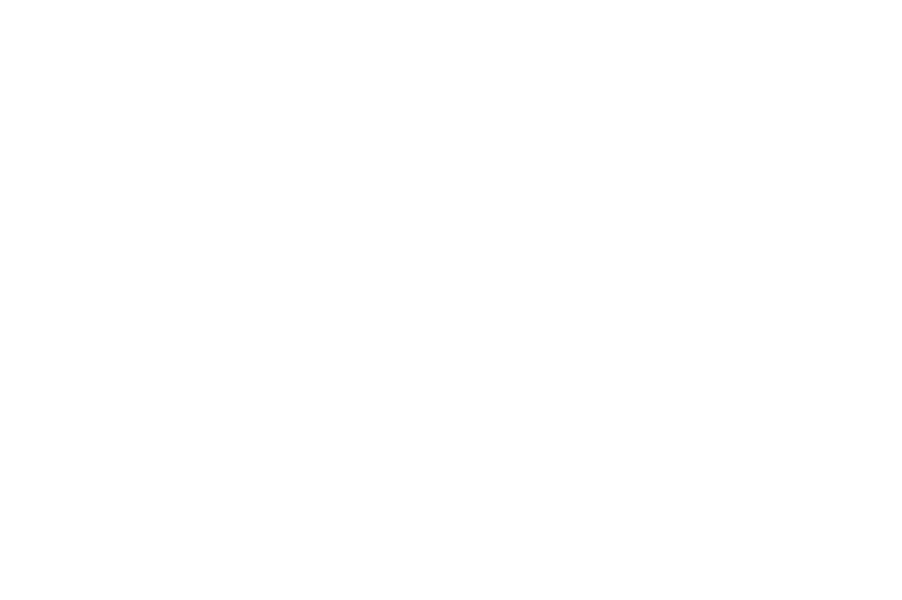 logo-_salon line