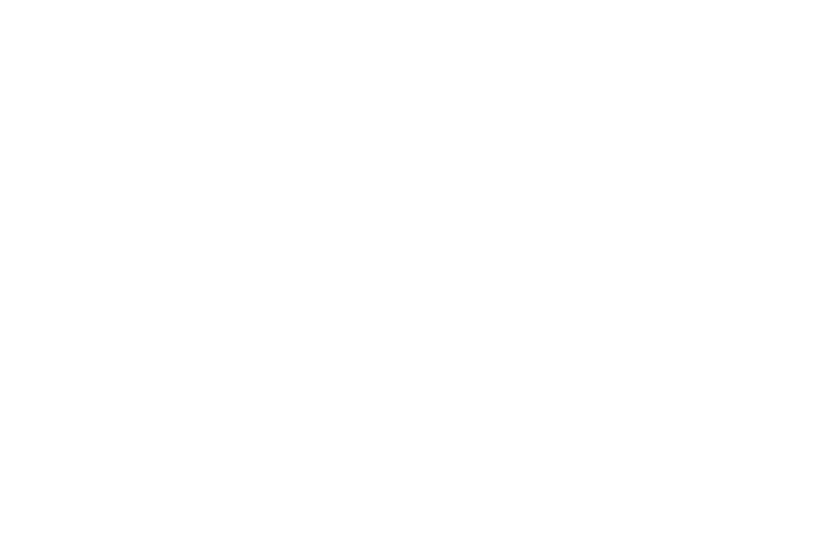 logo-_blz clinic