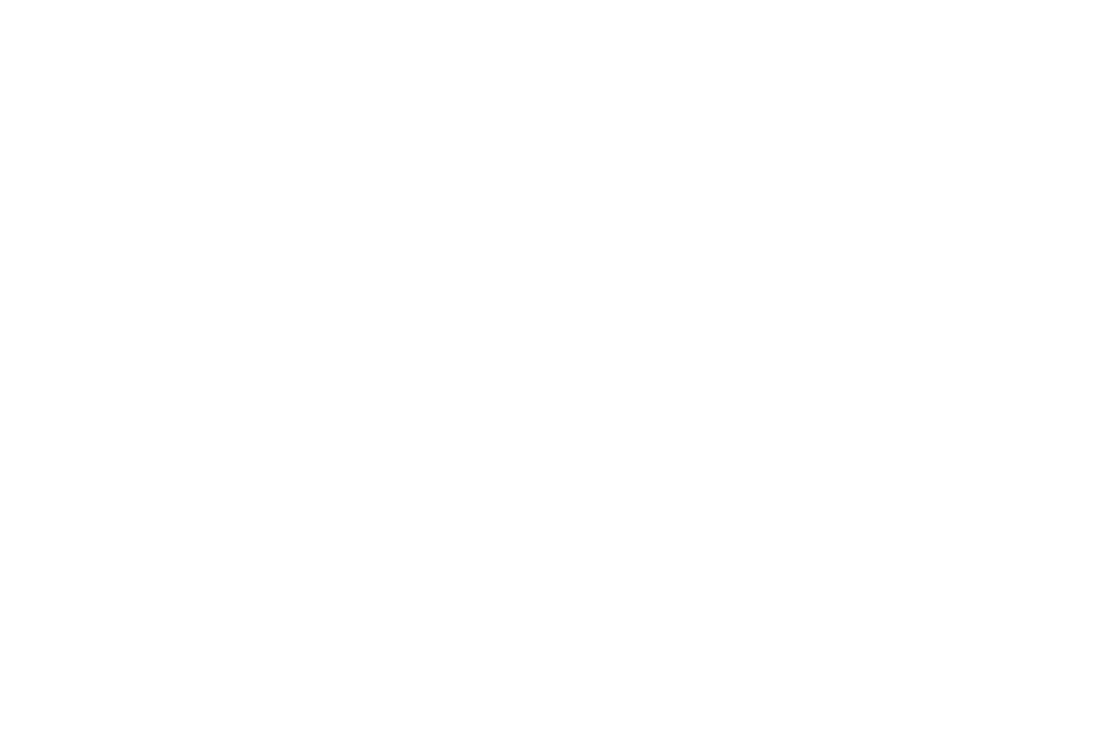 logo-_d&z